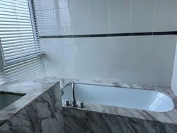 The Chuan (D19), Condominium #551120951
